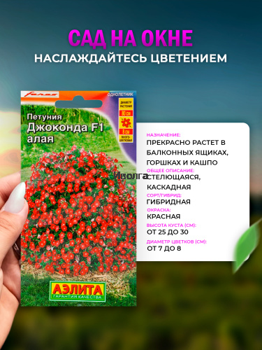 Набор для выращивания петунии "Джоконда" Алая фото 2 Набор для выращивания петунии "Джоконда" Алая фото 2