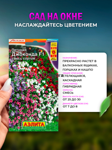 Набор для выращивания петунии "Джоконда" Смесь сортов фото 2 Набор для выращивания петунии "Джоконда" Смесь сортов фото 2