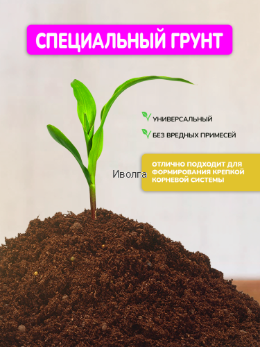 Набор для выращивания "Перец острый" фото 4 Набор для выращивания "Перец острый" фото 4