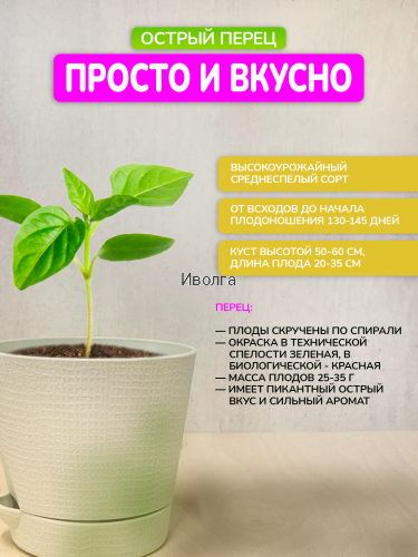 Набор для выращивания "Перец острый" фото 2 Набор для выращивания "Перец острый" фото 2